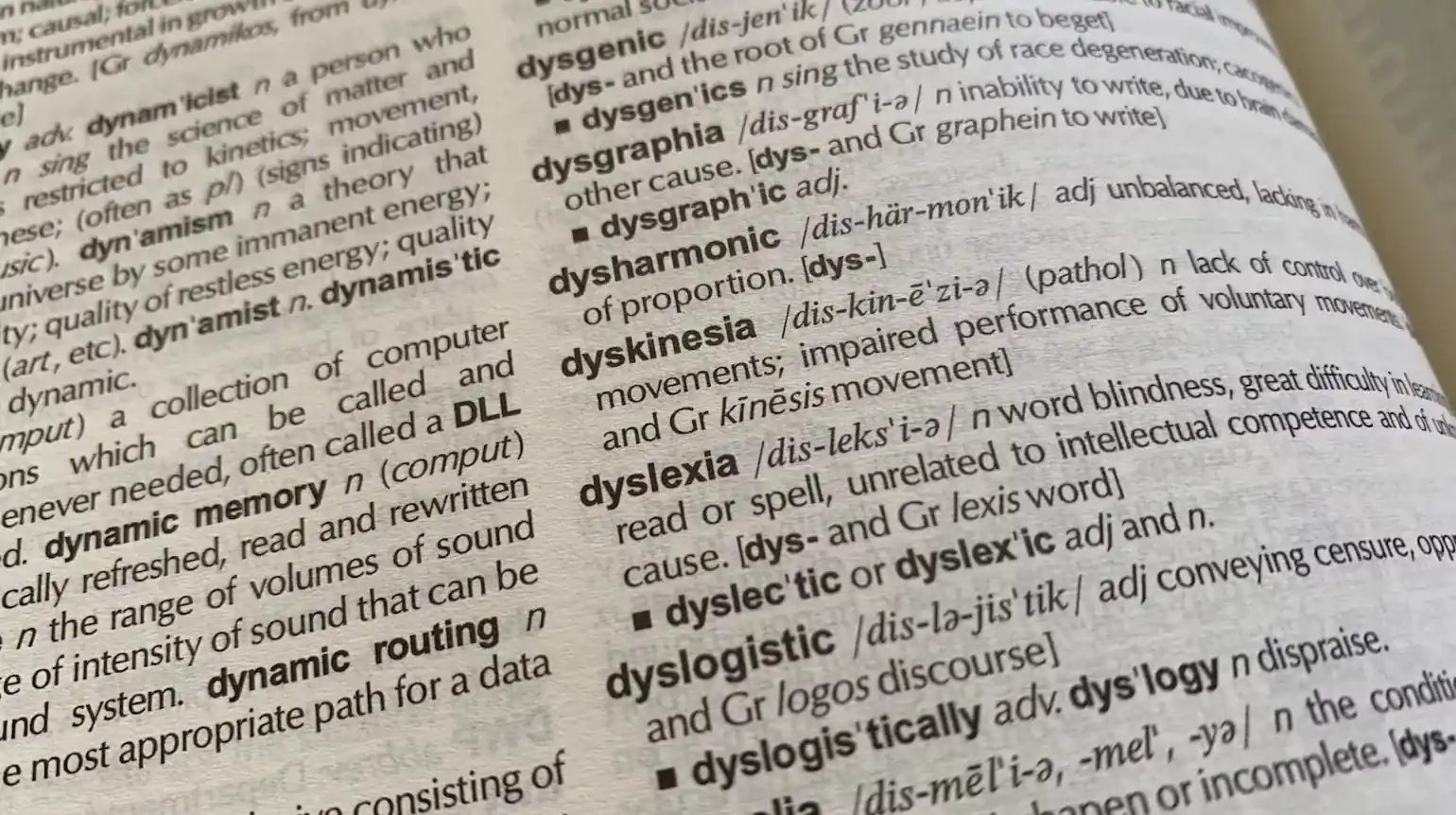 Synonyms and Antonyms Quiz